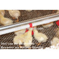 BIRDSITTER modern uae chicken farm poultry broiler chicken machine